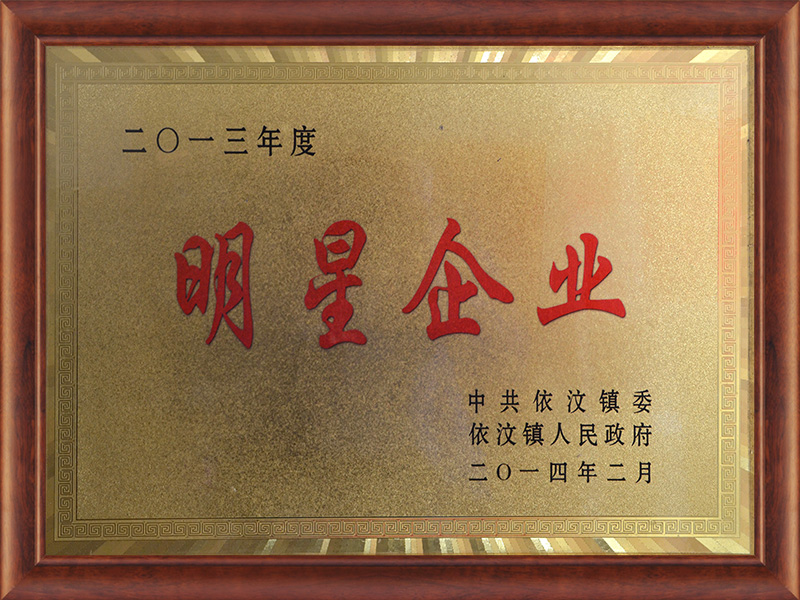 2013年度明星企業 
